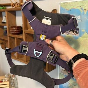 Ruffwear Front Range Medium